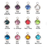 Birthstone and Initial Toggle Necklace